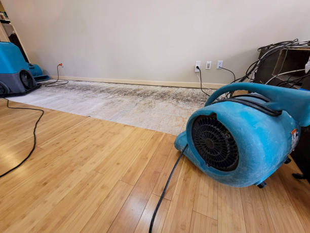 Professional Water Removal technician working in Pilot Mound, IA